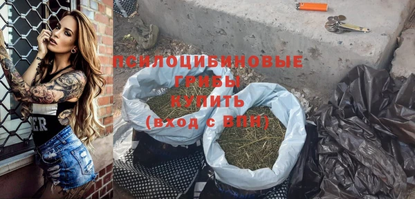 гашик Богородицк