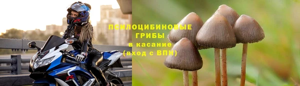 гашик Богородицк