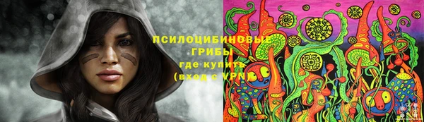 гашик Богородицк