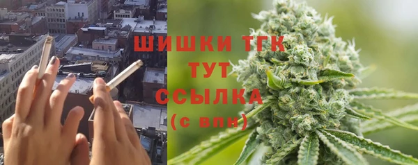 гашик Богородицк