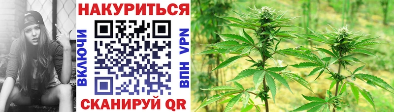 Каннабис SATIVA & INDICA  блэк спрут ссылки  Владивосток 